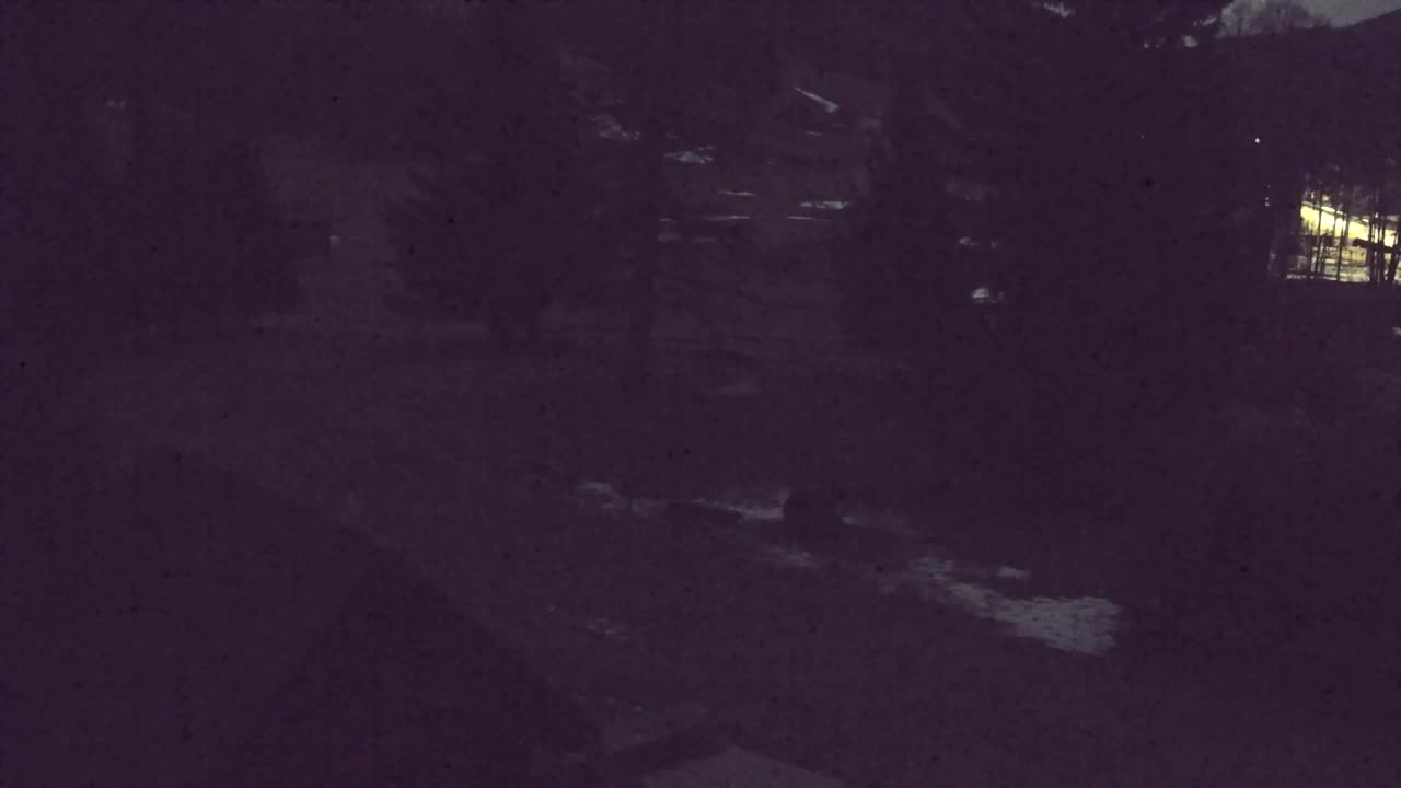 Lokve kamera – Naravne lepote Trnovskega gozda