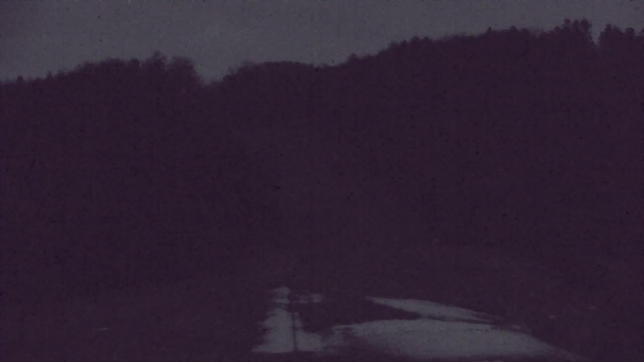 Web kamera Lokve – Ljepota Trnovske šume