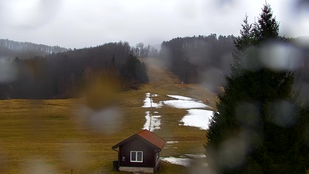 Webcam Lokve – The beauty of the Trnovo forest