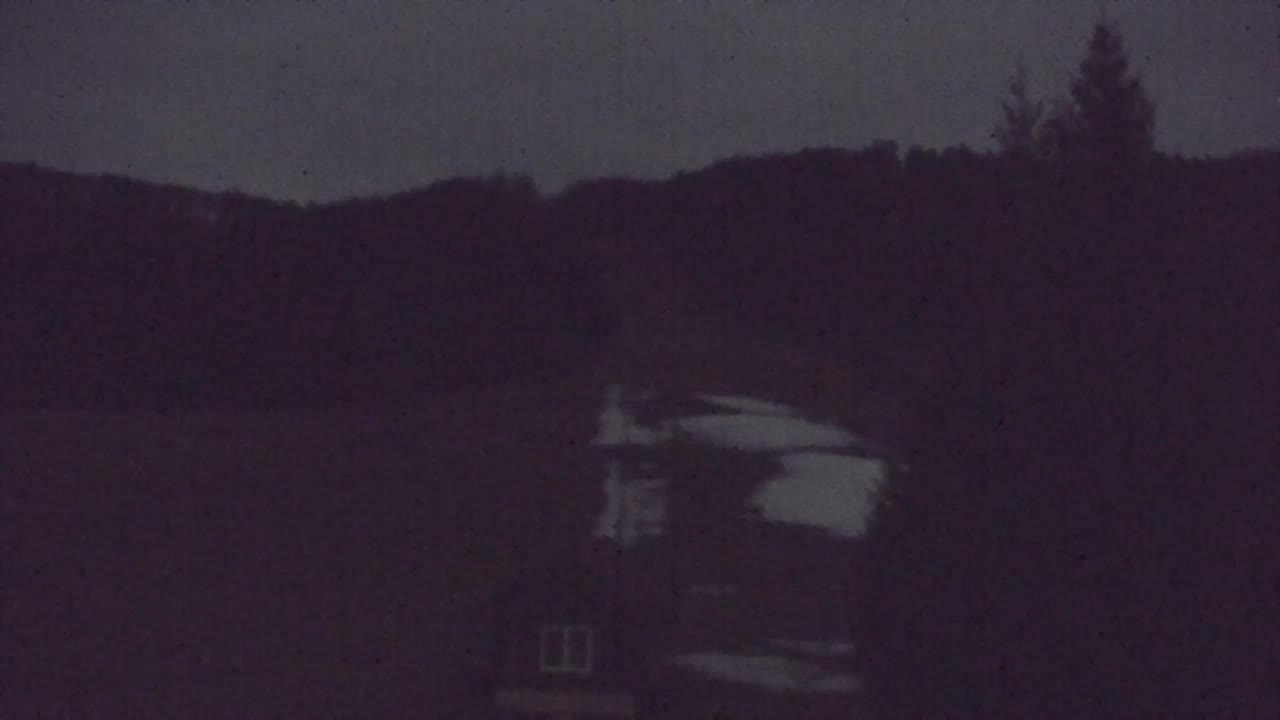 Webcam Loqua / Lokve – La bellezza della selva di Tarnova