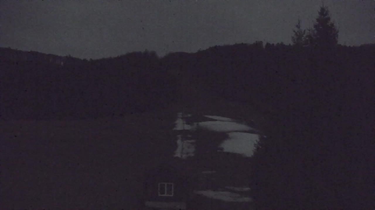 Webcam Loqua / Lokve – La bellezza della selva di Tarnova