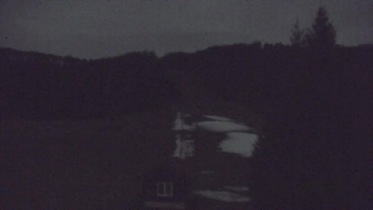 Webcam Lokve – Die Schönheit des Trnovo-Waldes