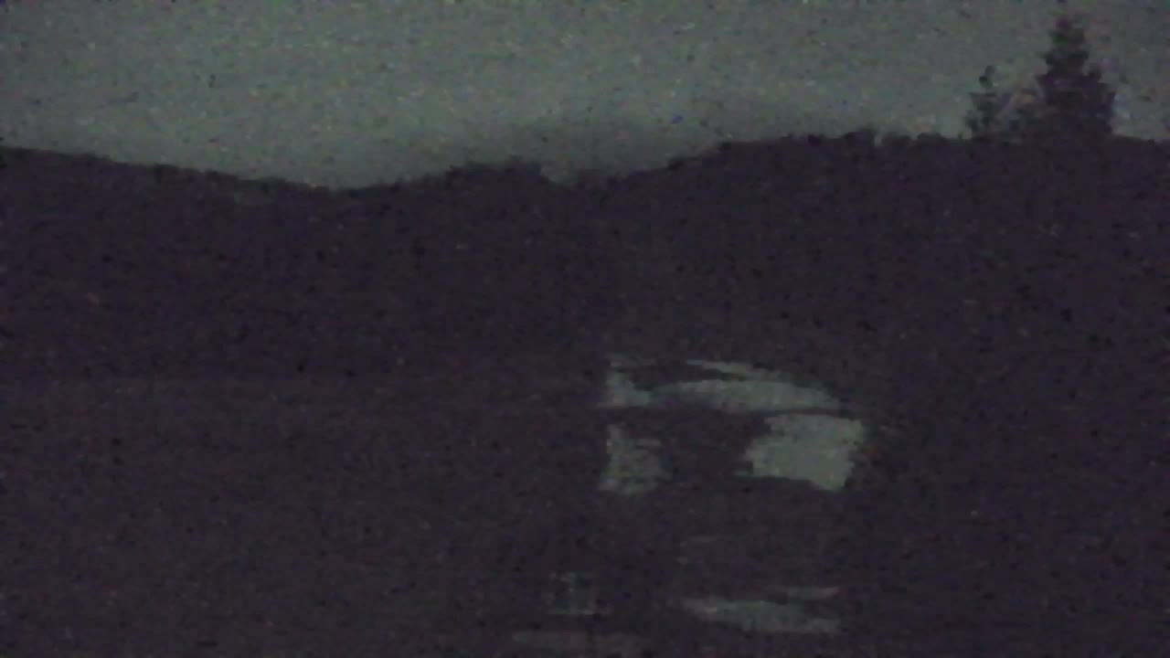 Webcam Loqua / Lokve – La bellezza della selva di Tarnova