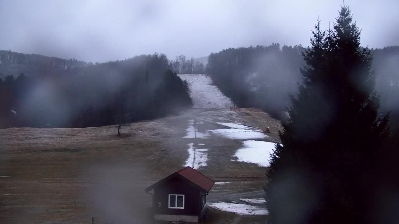 Webcam Loqua / Lokve – La bellezza della selva di Tarnova