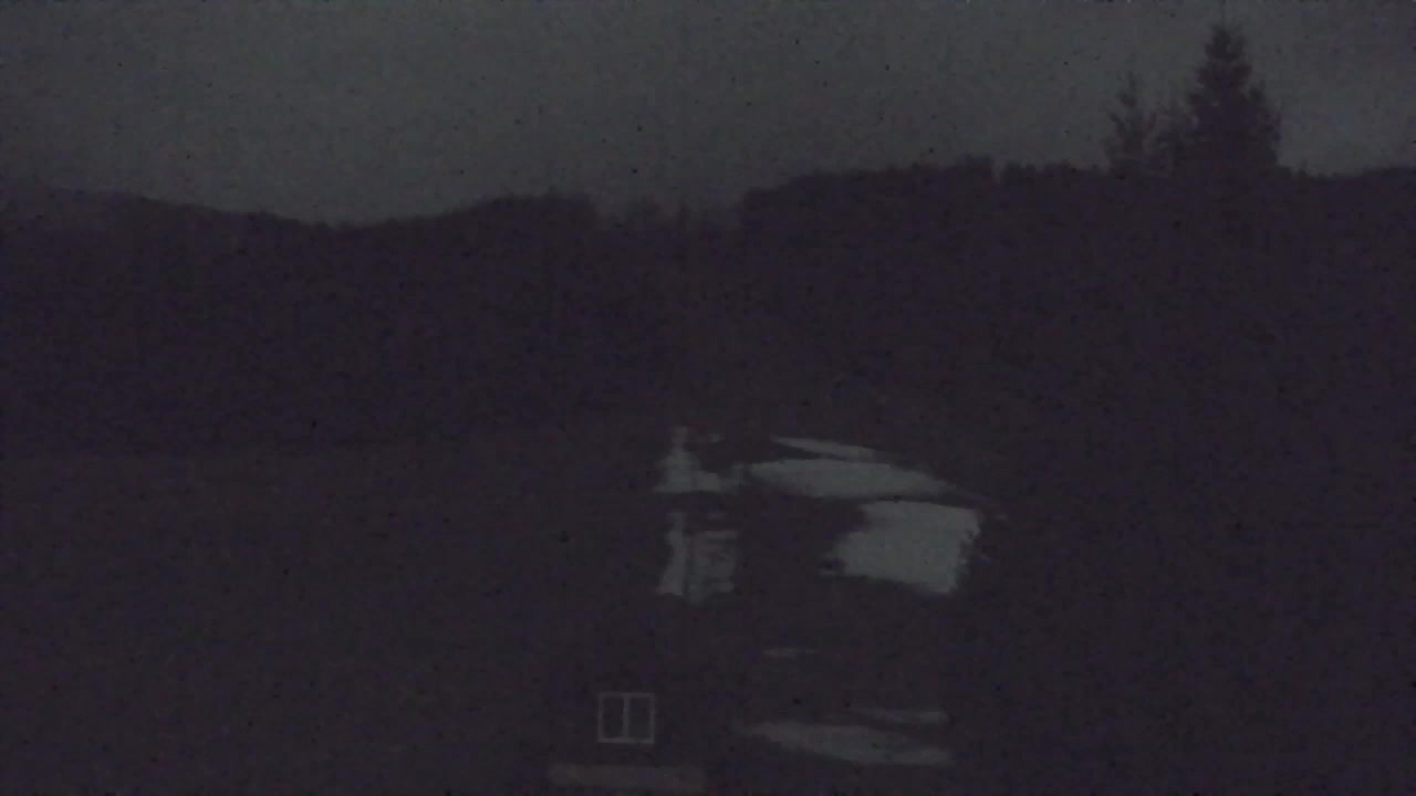 Webcam Lokve – The beauty of the Trnovo forest