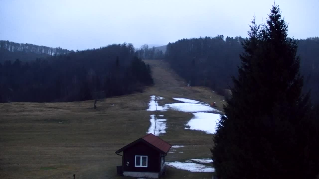 Webcam Lokve – The beauty of the Trnovo forest