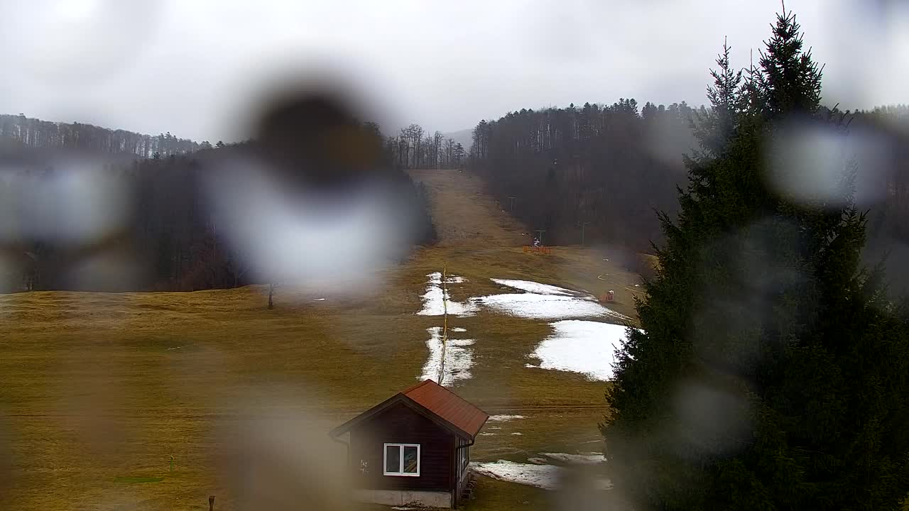 Webcam Lokve – La beauté de la forêt de Trnovo