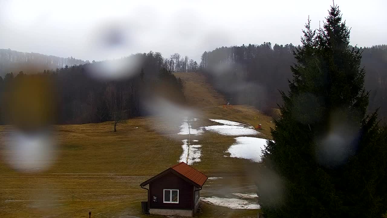 Webcam Lokve – La beauté de la forêt de Trnovo