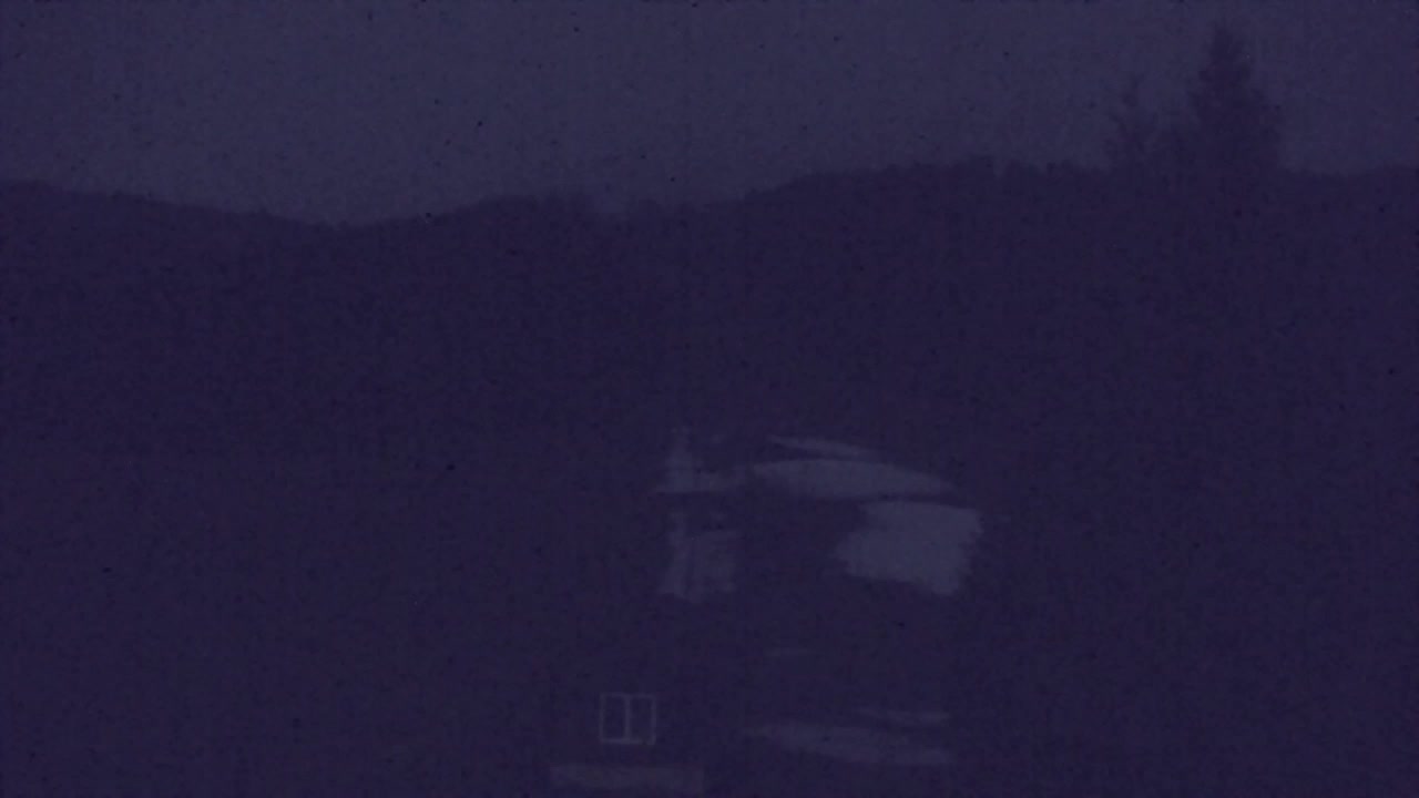 Webcam Loqua / Lokve – La bellezza della selva di Tarnova