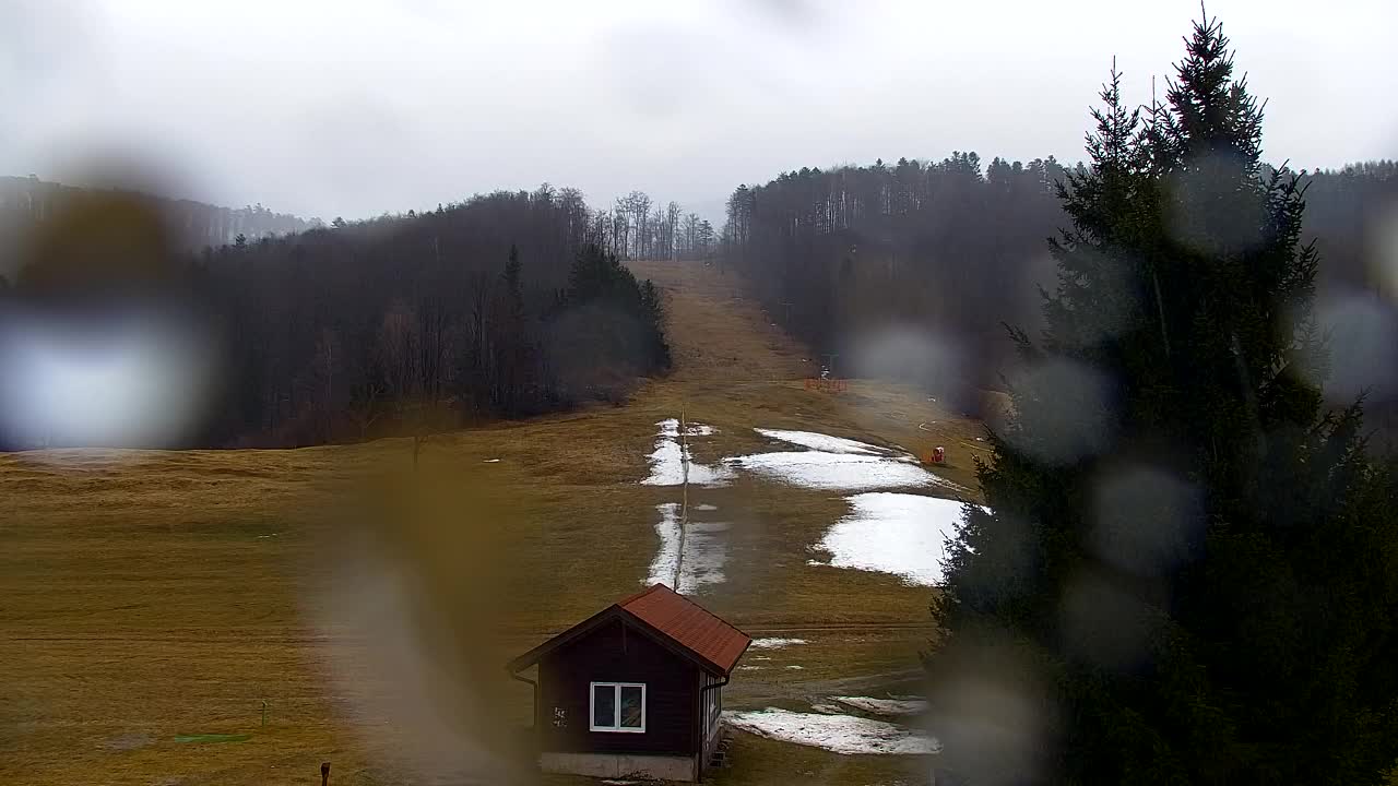 Webcam Loqua / Lokve – La bellezza della selva di Tarnova