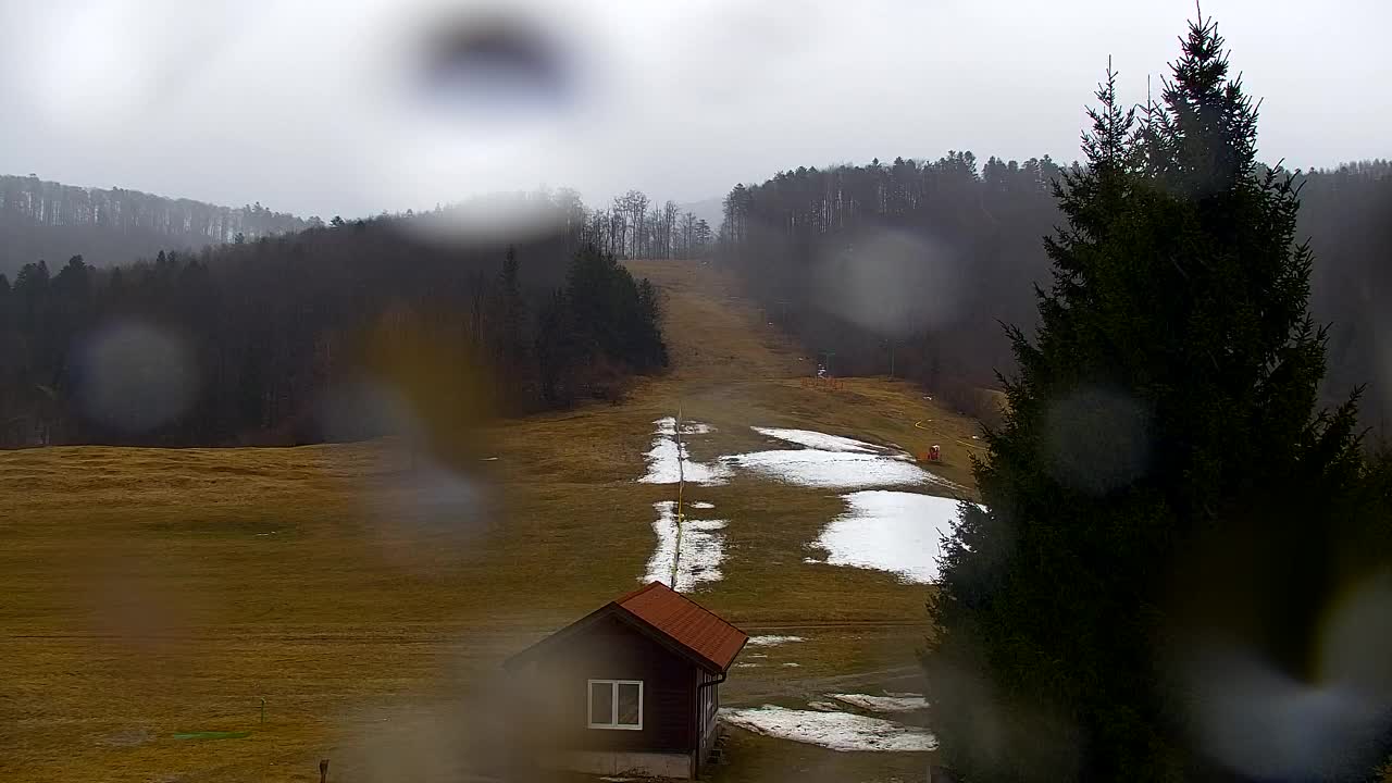 Camera en vivo Lokve – La belleza del bosque de Trnovo