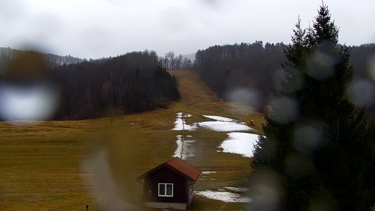Webcam Lokve – The beauty of the Trnovo forest