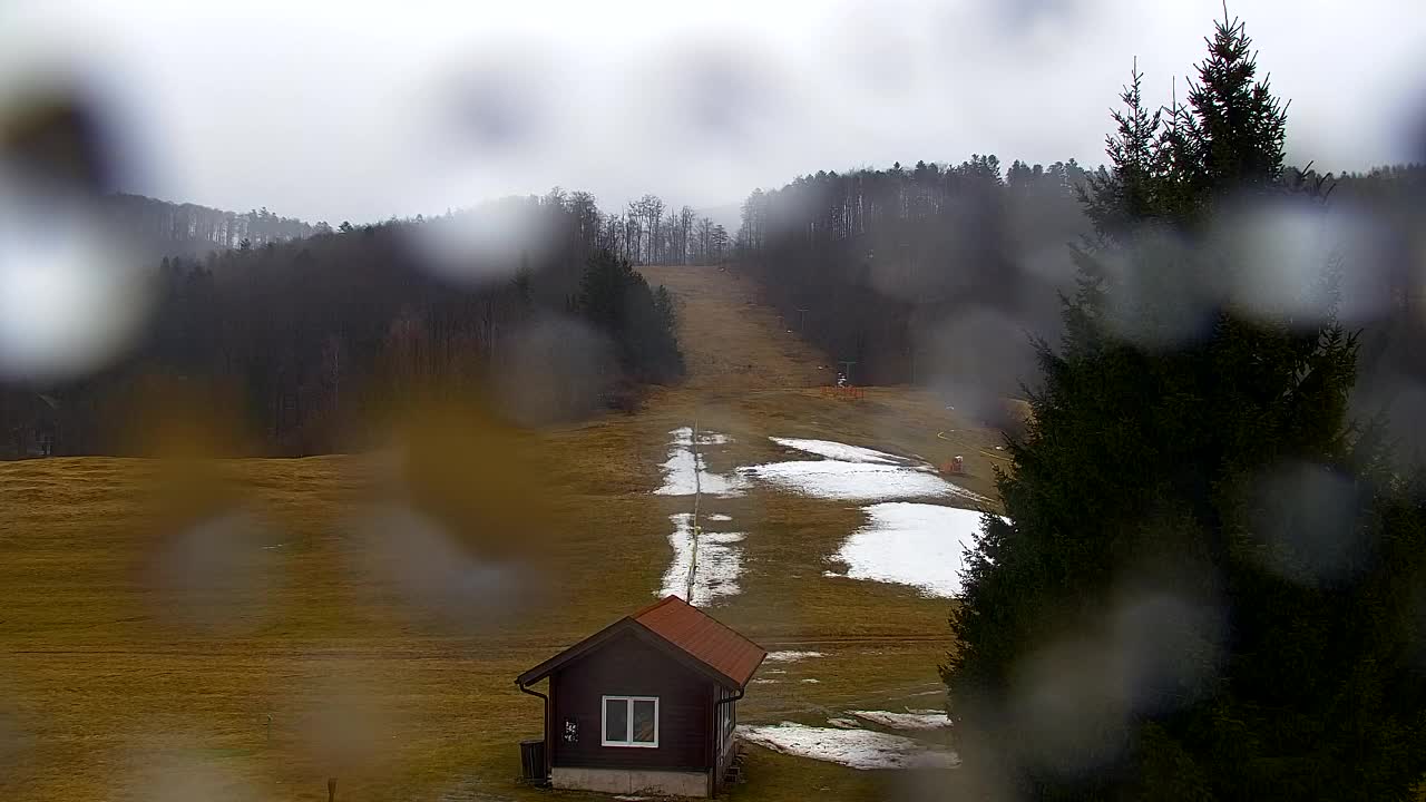 Webcam Lokve – The beauty of the Trnovo forest