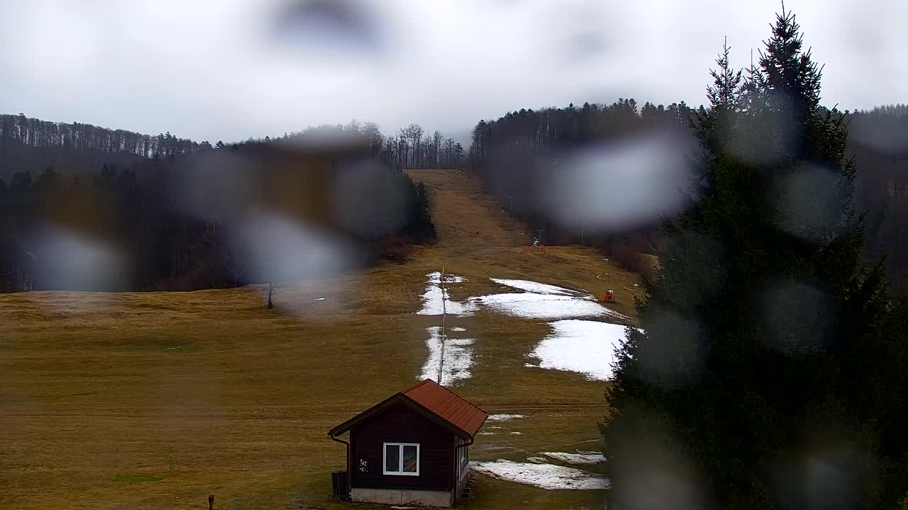 Webcam Loqua / Lokve – La bellezza della selva di Tarnova