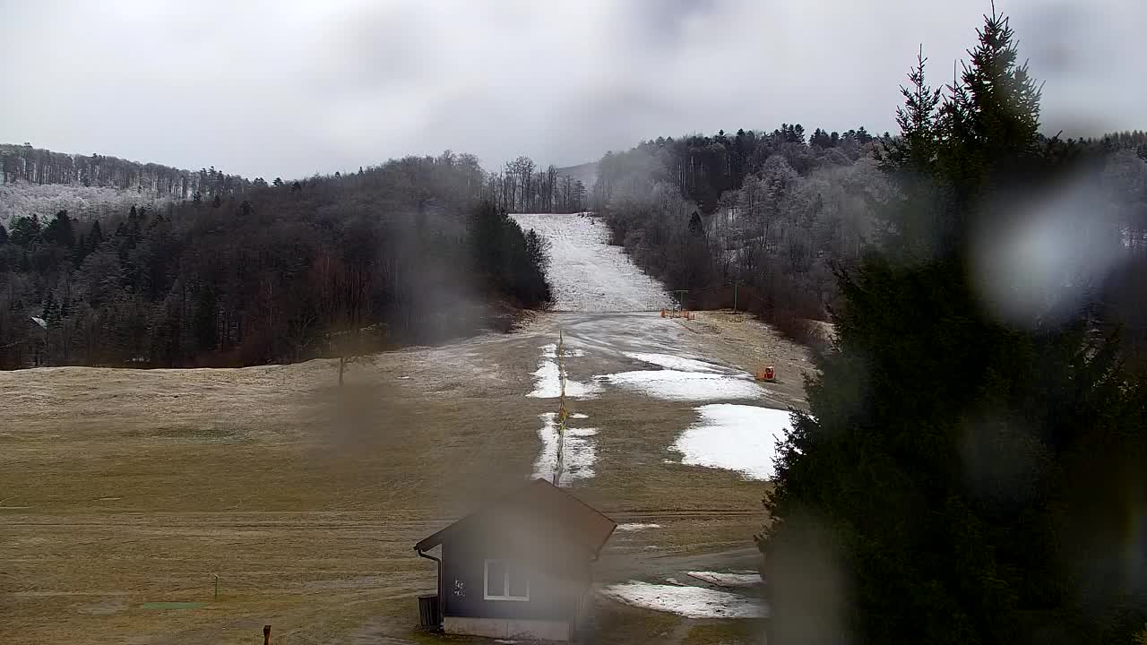 Web kamera Lokve – Ljepota Trnovske šume