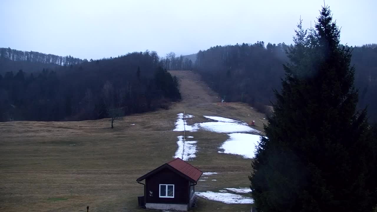 Web kamera Lokve – Ljepota Trnovske šume