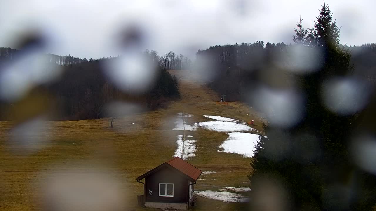 Webcam Lokve – The beauty of the Trnovo forest
