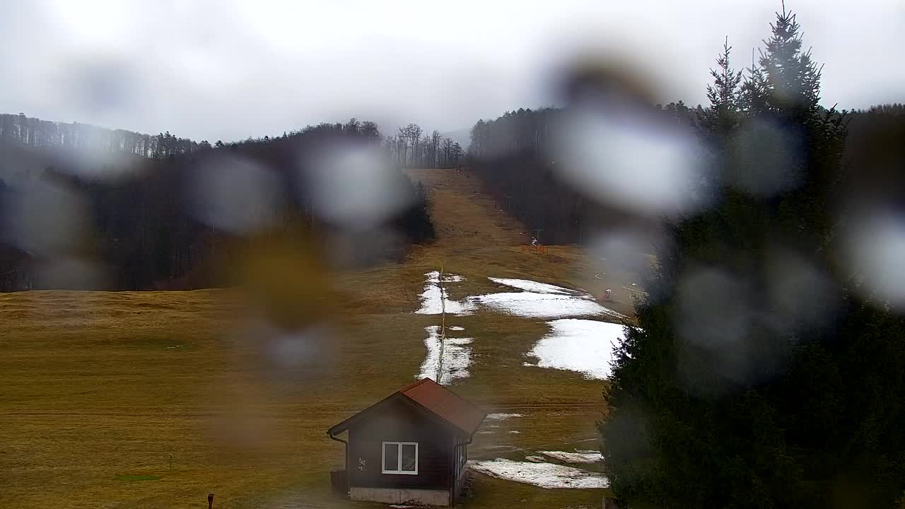 Web kamera Lokve – Ljepota Trnovske šume