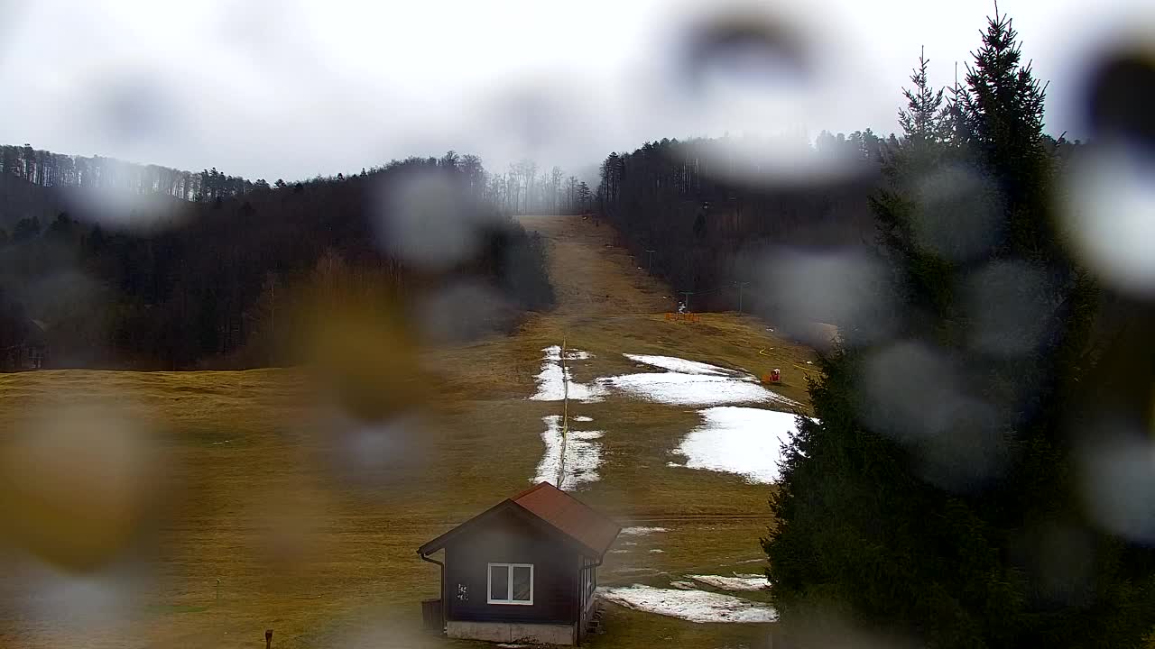 Webcam Lokve – Die Schönheit des Trnovo-Waldes