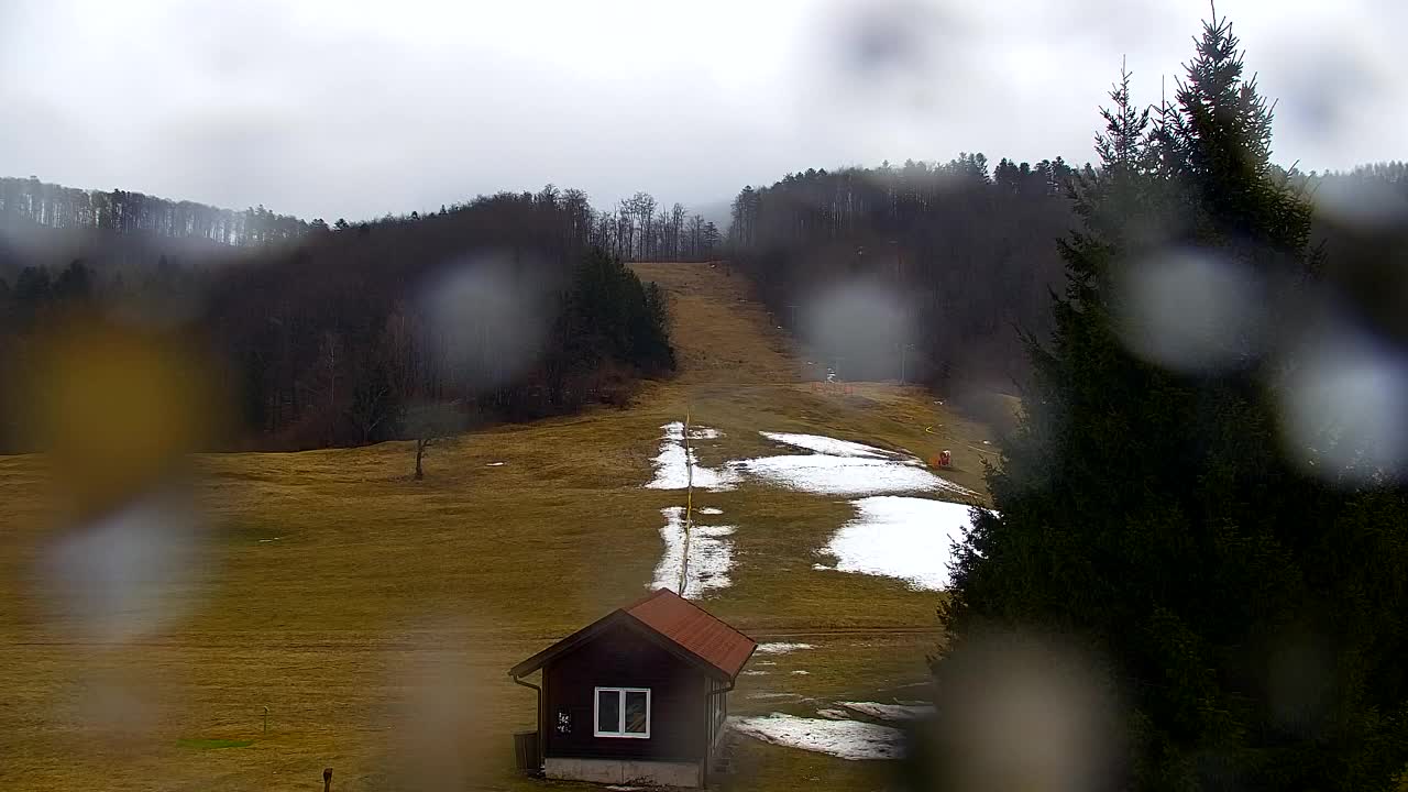 Webcam Loqua / Lokve – La bellezza della selva di Tarnova