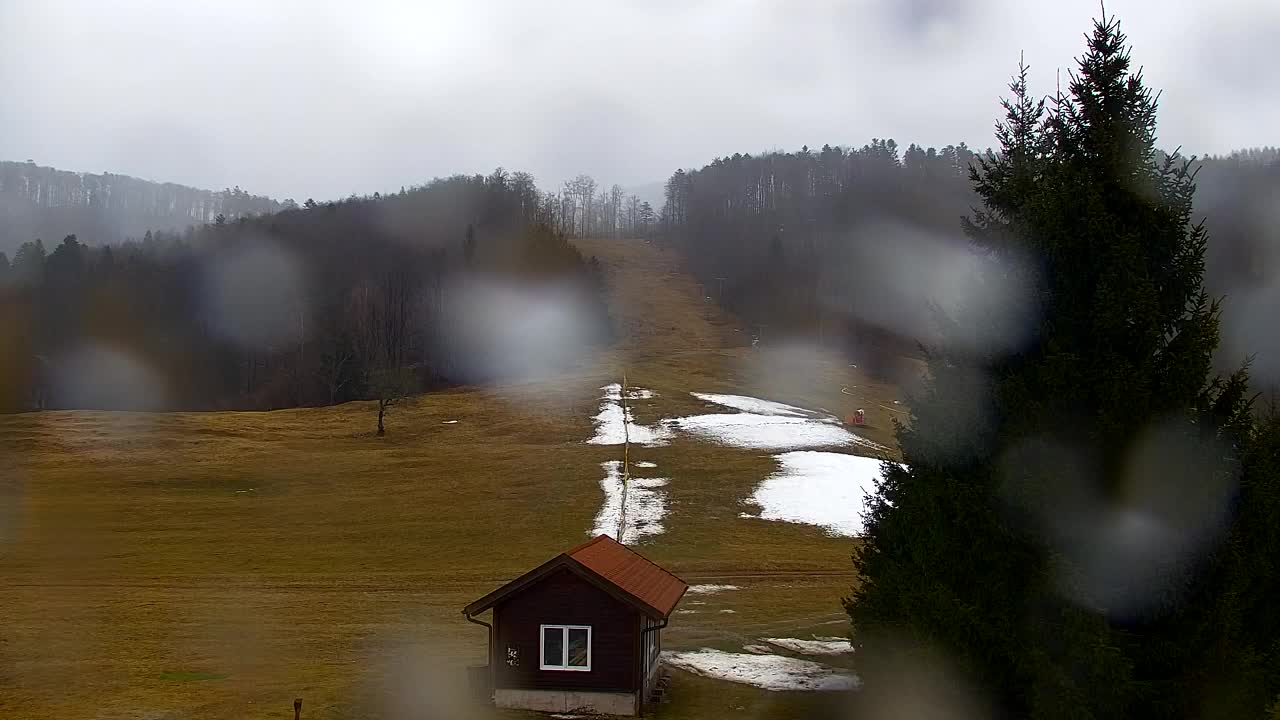 Webcam Lokve – The beauty of the Trnovo forest