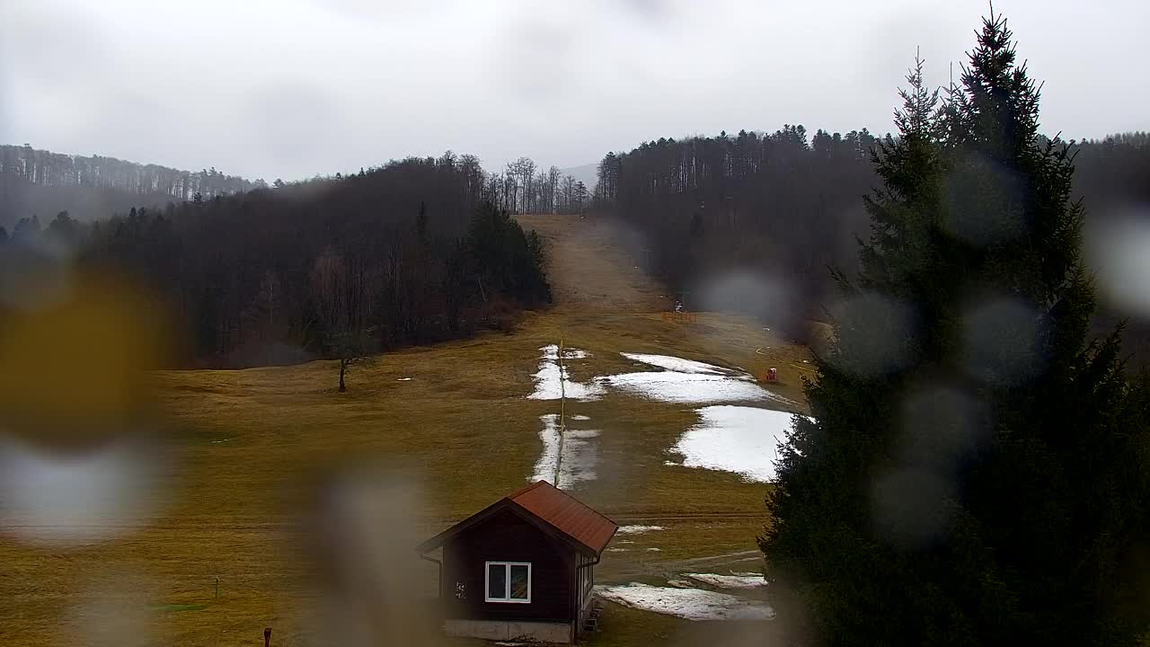 Webcam Lokve – Die Schönheit des Trnovo-Waldes