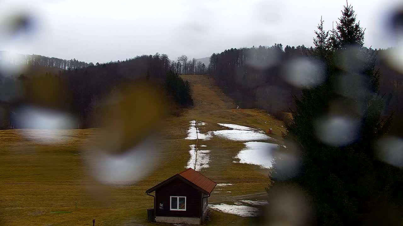Webcam Lokve – The beauty of the Trnovo forest