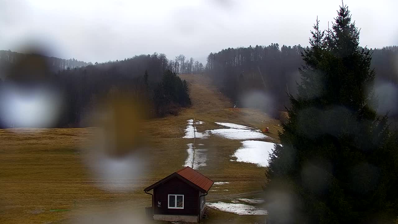 Webcam Lokve – The beauty of the Trnovo forest