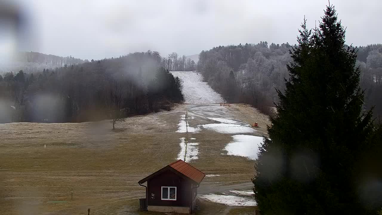 Webcam Lokve – The beauty of the Trnovo forest