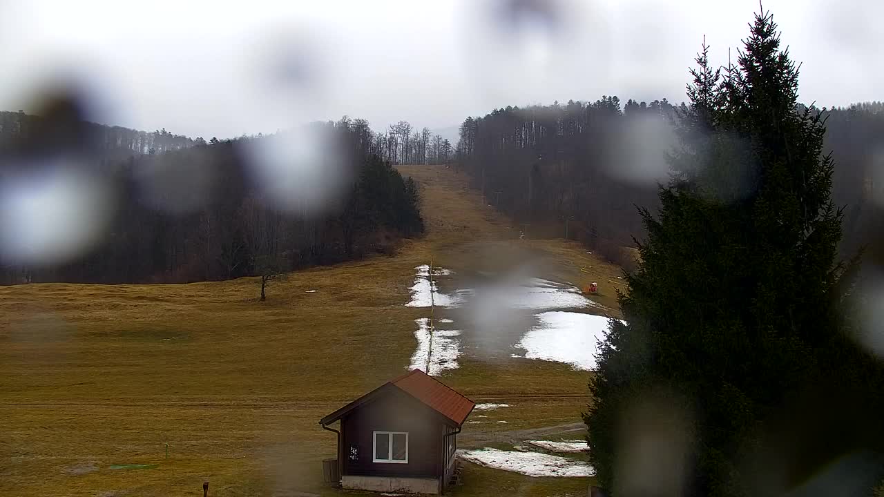 Webcam Lokve – La beauté de la forêt de Trnovo