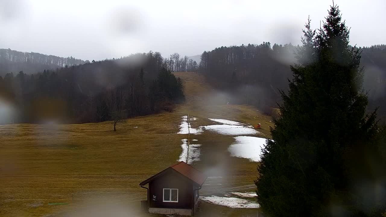 Lokve kamera – Naravne lepote Trnovskega gozda