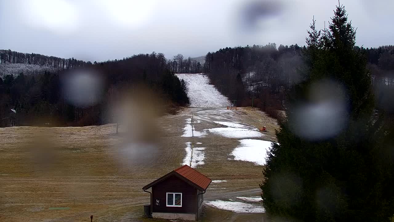 Webcam Lokve – La beauté de la forêt de Trnovo