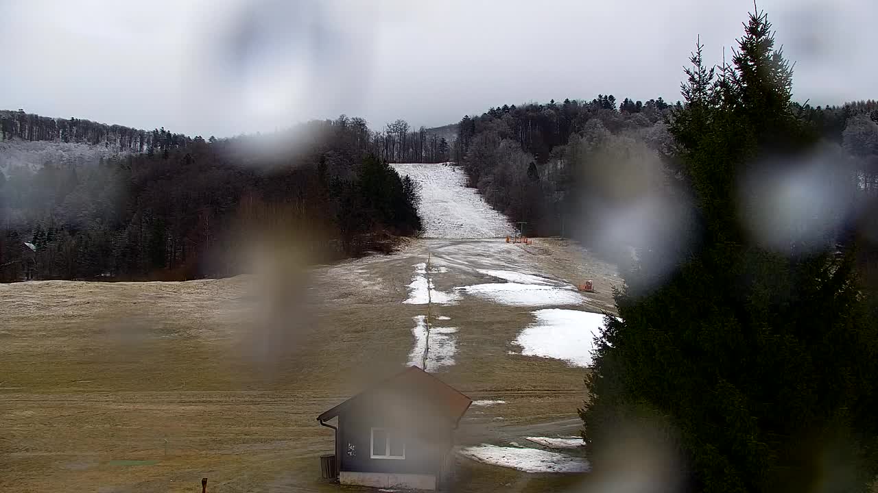 Webcam Lokve – The beauty of the Trnovo forest