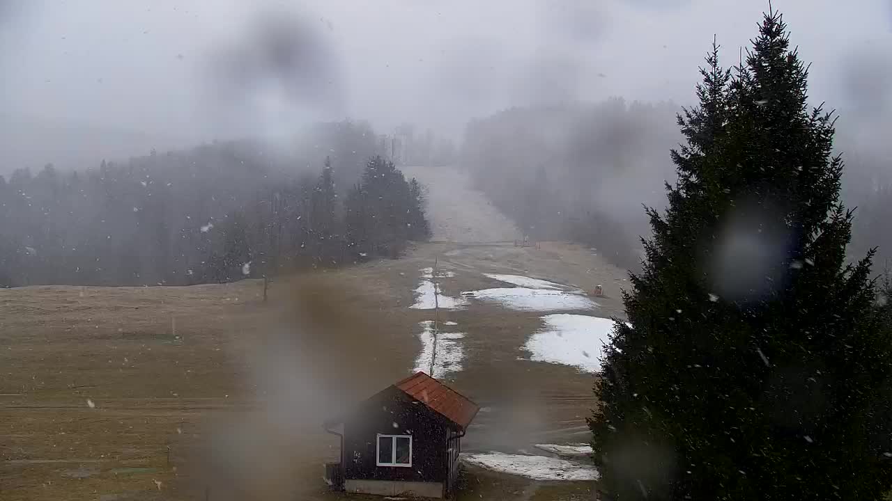 Webcam Lokve – La beauté de la forêt de Trnovo