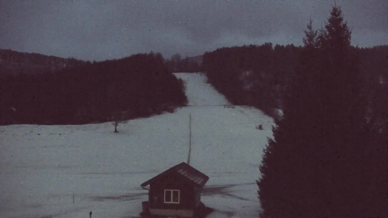 Webcam Lokve – The beauty of the Trnovo forest