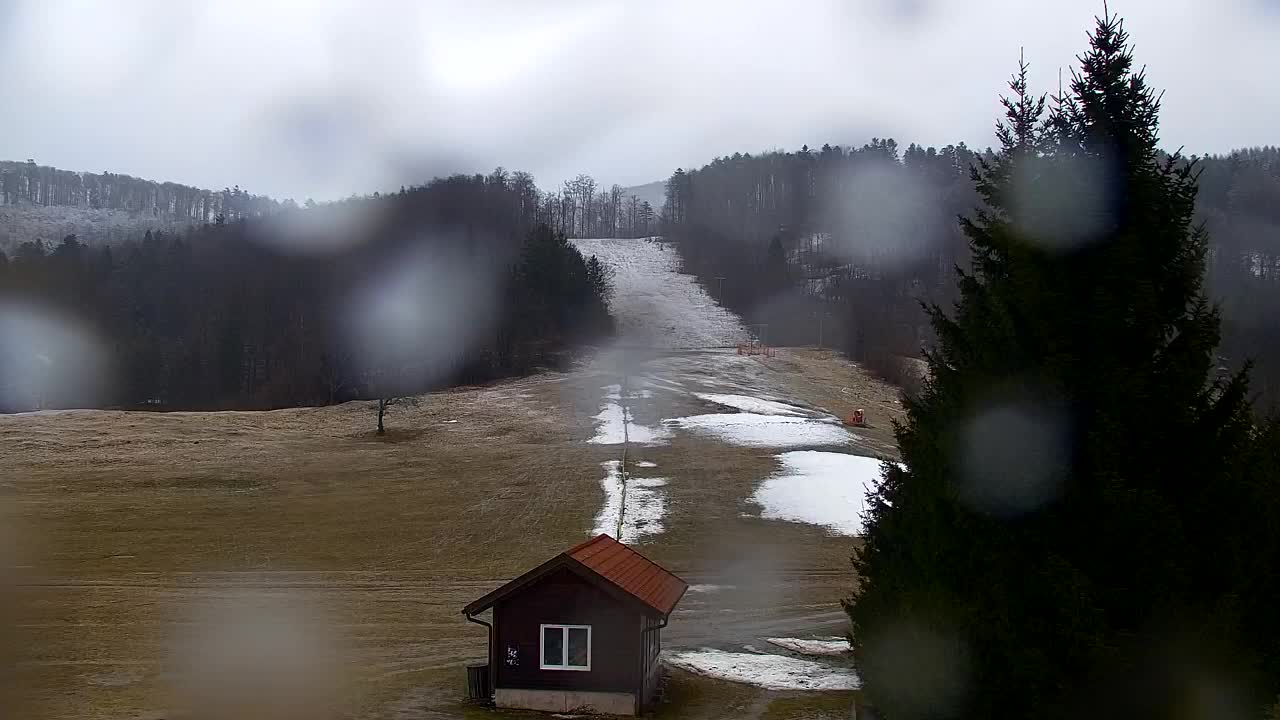Webcam Lokve – The beauty of the Trnovo forest