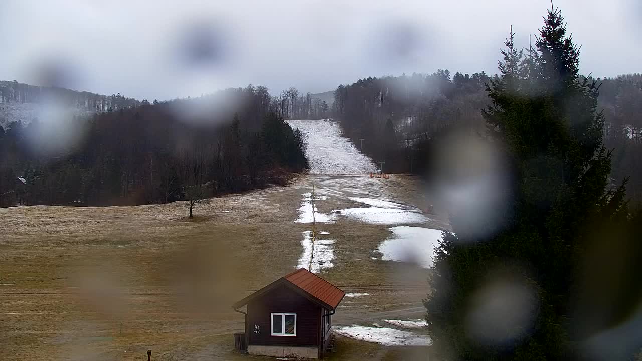 Webcam Lokve – Die Schönheit des Trnovo-Waldes