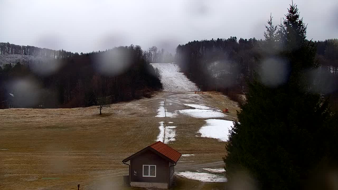 Camera en vivo Lokve – La belleza del bosque de Trnovo