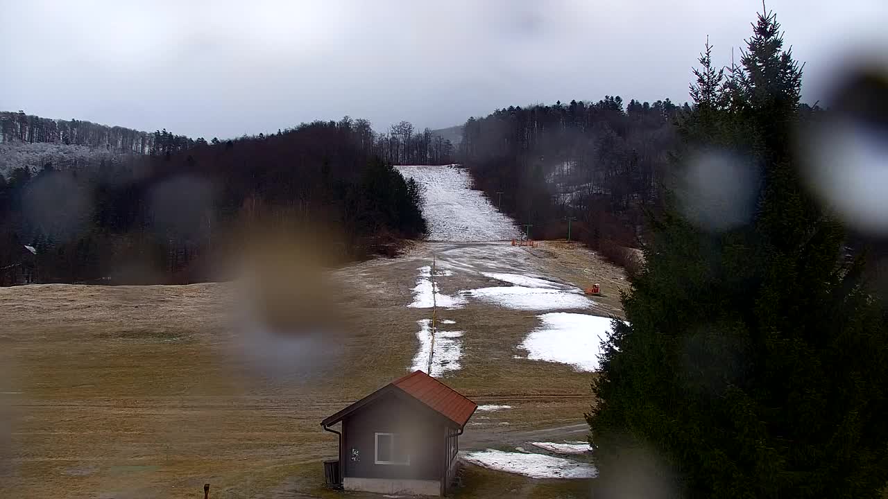 Lokve kamera – Naravne lepote Trnovskega gozda