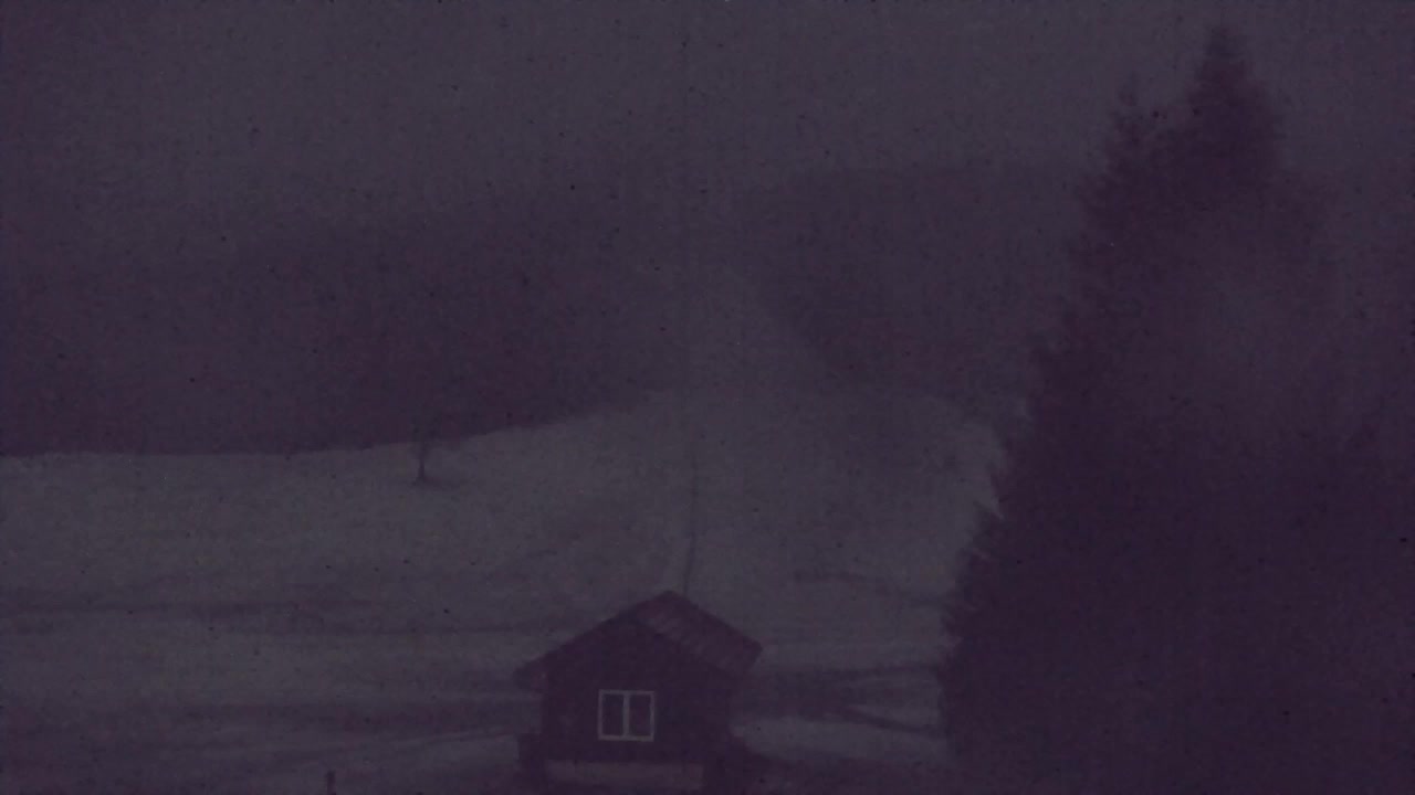 Webcam Lokve – La beauté de la forêt de Trnovo