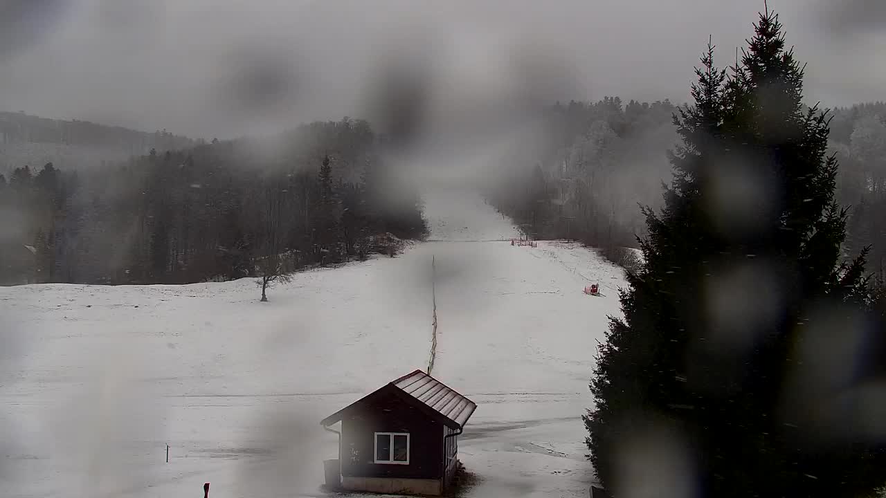 Camera en vivo Lokve – La belleza del bosque de Trnovo