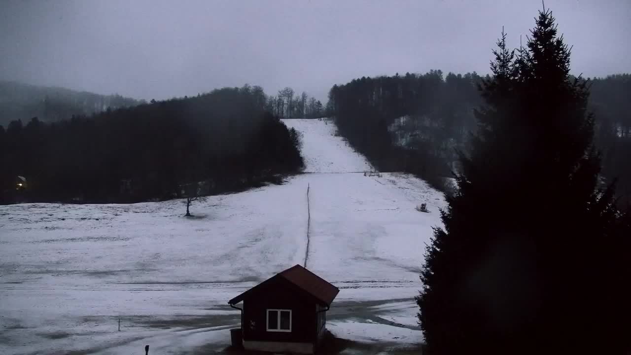 Webcam Loqua / Lokve – La bellezza della selva di Tarnova