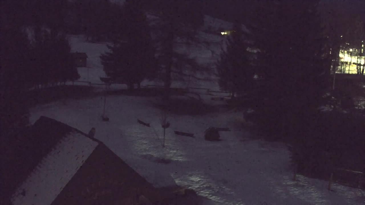 Webcam Lokve – The beauty of the Trnovo forest