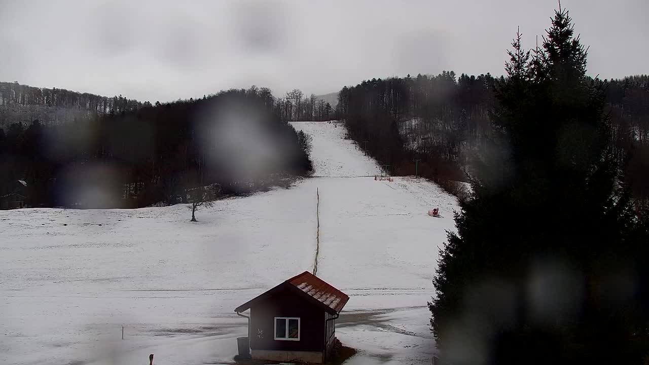 Webcam Lokve – The beauty of the Trnovo forest