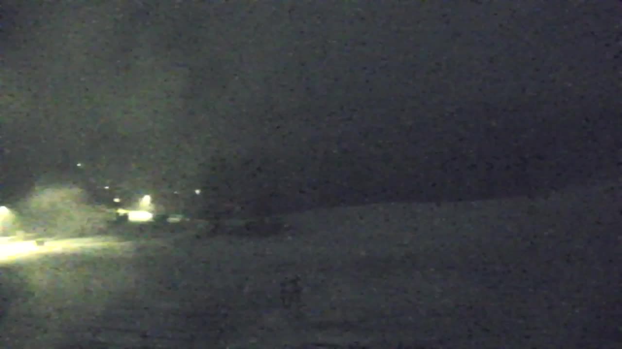 Webcam Loqua / Lokve – La bellezza della selva di Tarnova