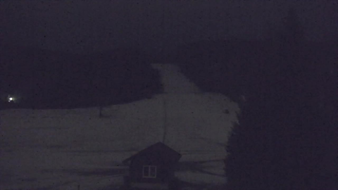 Webcam Lokve – La beauté de la forêt de Trnovo