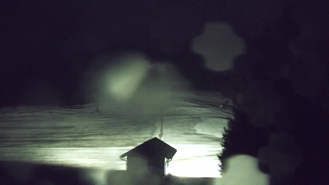 Webcam Lokve – Die Schönheit des Trnovo-Waldes