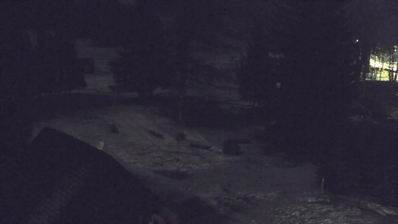 Web kamera Lokve – Ljepota Trnovske šume