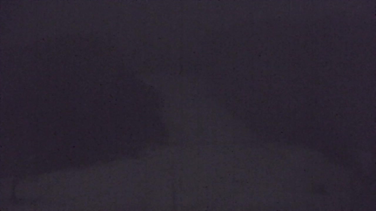 Webcam Lokve – La beauté de la forêt de Trnovo