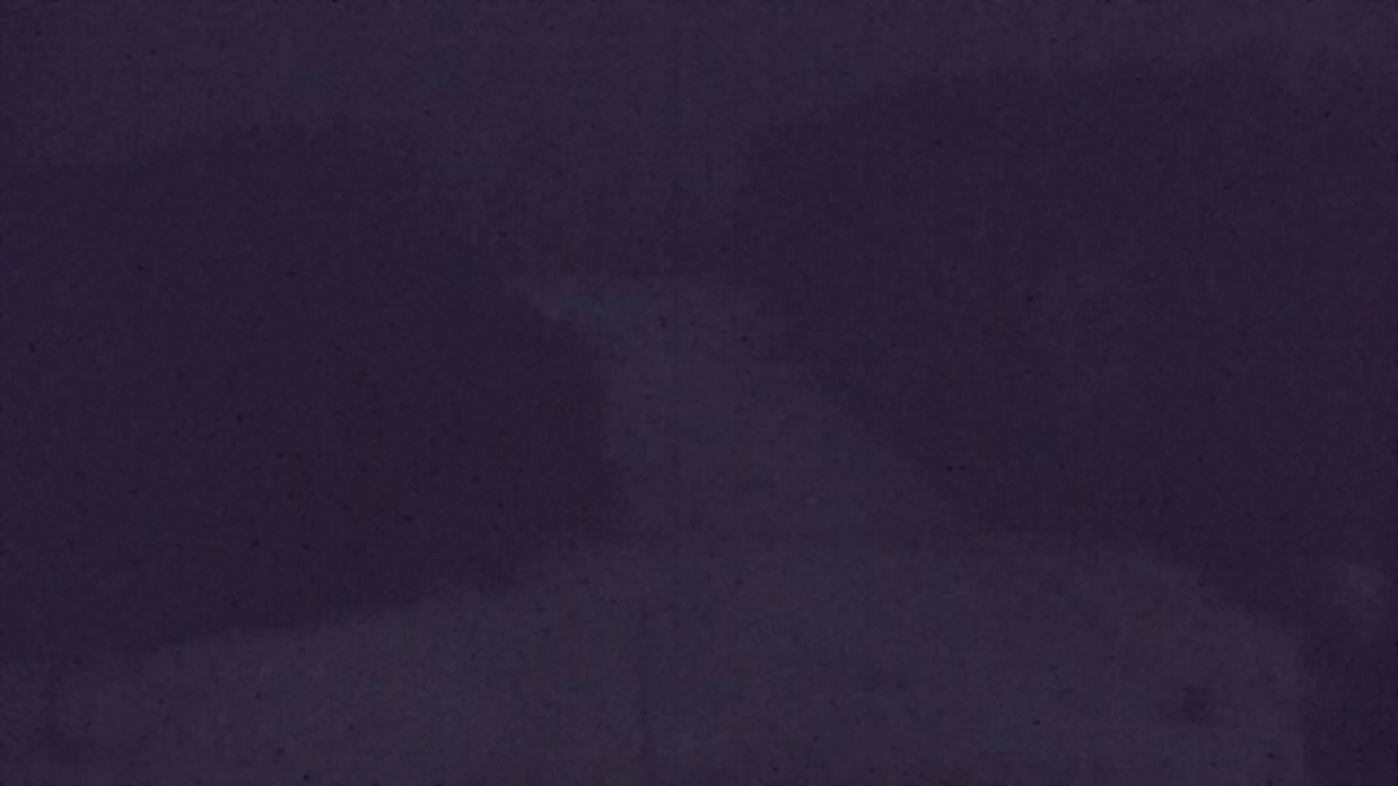 Webcam Lokve – La beauté de la forêt de Trnovo